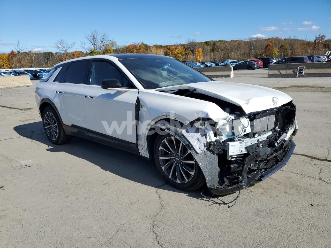Photo 4 of 2024 CADILLAC LYRIQ SPORT (VIN 1GYKPVRL7RZ121464)