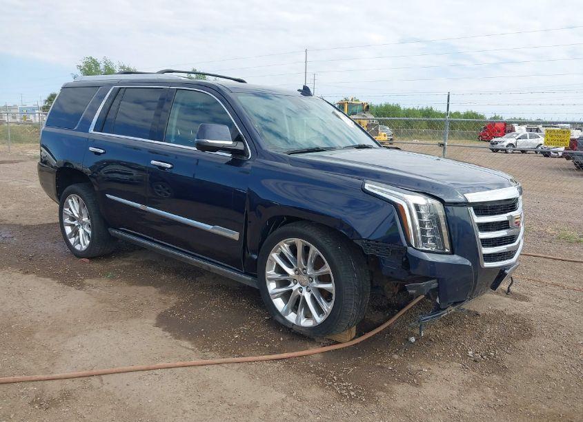 2020 Cadillac Escalade 2WD PREMIUM LUXURY (VIN 1GYS3CKJ7LR153640) main photo