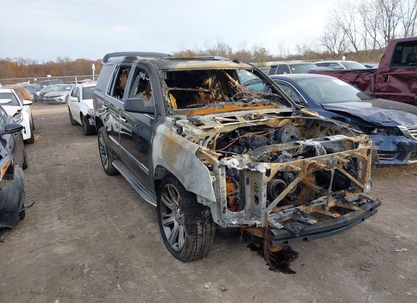 2015 Cadillac Escalade LUXURY (VIN 1GYS4BKJ0FR174521) main photo