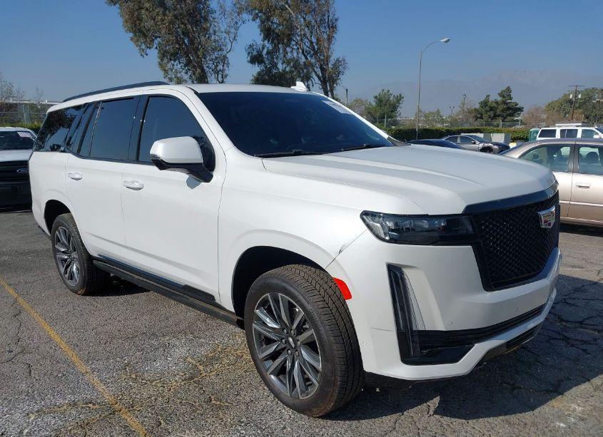 2024 Cadillac Escalade 4WD SPORT PLATINUM (VIN 1GYS4GKL3RR141919) main photo