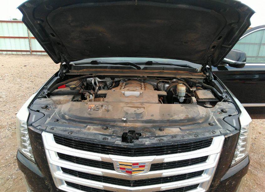 Photo 10 of 2015 Cadillac Escalade LUXURY (VIN 1GYS4MKJ9FR533229)