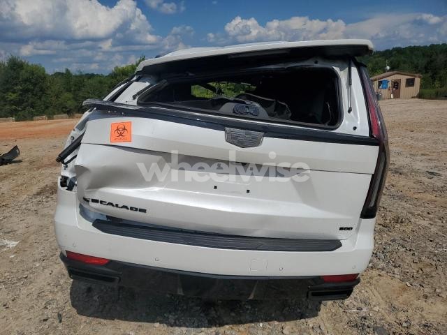 Photo 8 of 2021 CADILLAC ESCALADE ESV SPORT (VIN 1GYS4PKL2MR303029)