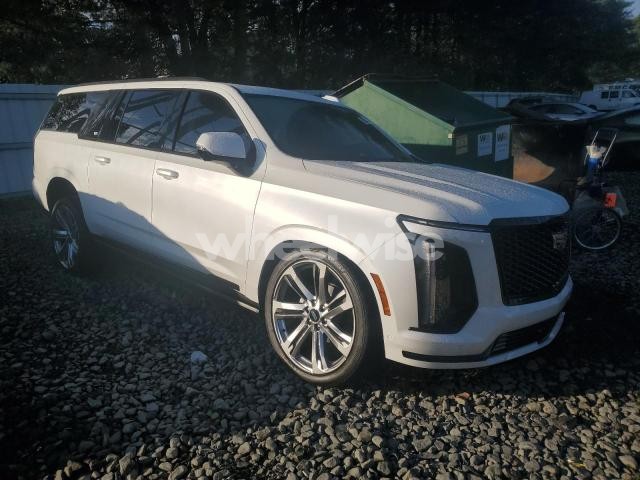 Photo 11 of 2025 CADILLAC ESCALADE ESV SPORT PLATINUM (VIN 1GYS9RRLXSR321956)