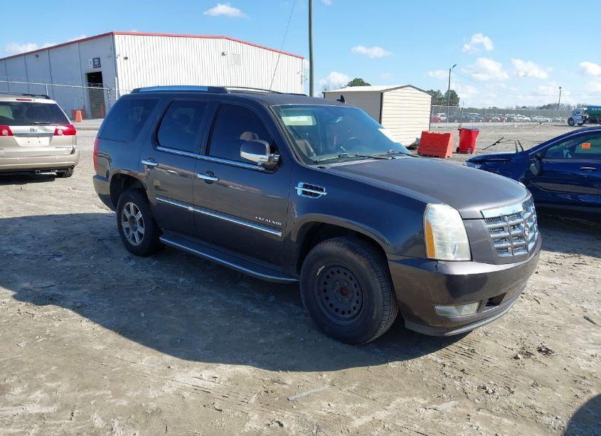 2010 Cadillac Escalade STANDARD (VIN 1GYUCAEF1AR136334) main photo