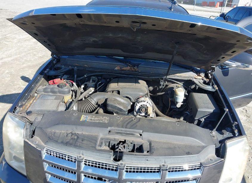 Photo 10 of 2010 Cadillac Escalade STANDARD (VIN 1GYUCAEF1AR136334)