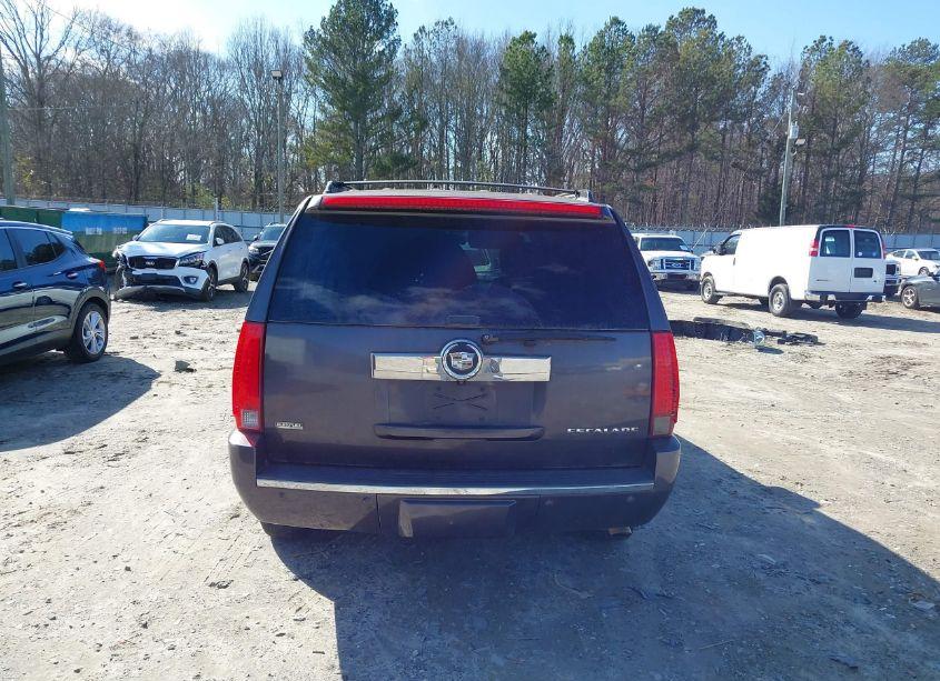 Photo 16 of 2010 Cadillac Escalade STANDARD (VIN 1GYUCAEF1AR136334)