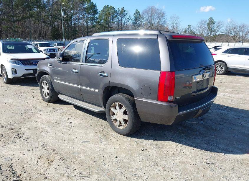 Photo 3 of 2010 Cadillac Escalade STANDARD (VIN 1GYUCAEF1AR136334)
