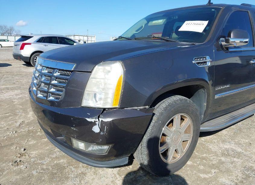 Photo 6 of 2010 Cadillac Escalade STANDARD (VIN 1GYUCAEF1AR136334)