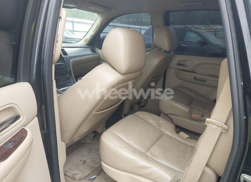 Photo 12 of 2010 Cadillac Escalade STANDARD (VIN 1GYUCAEF1AR264105)