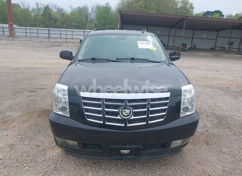 Photo 13 of 2010 Cadillac Escalade STANDARD (VIN 1GYUCAEF1AR264105)