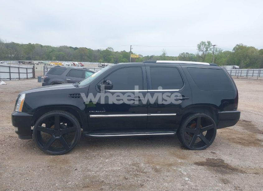 Photo 15 of 2010 Cadillac Escalade STANDARD (VIN 1GYUCAEF1AR264105)