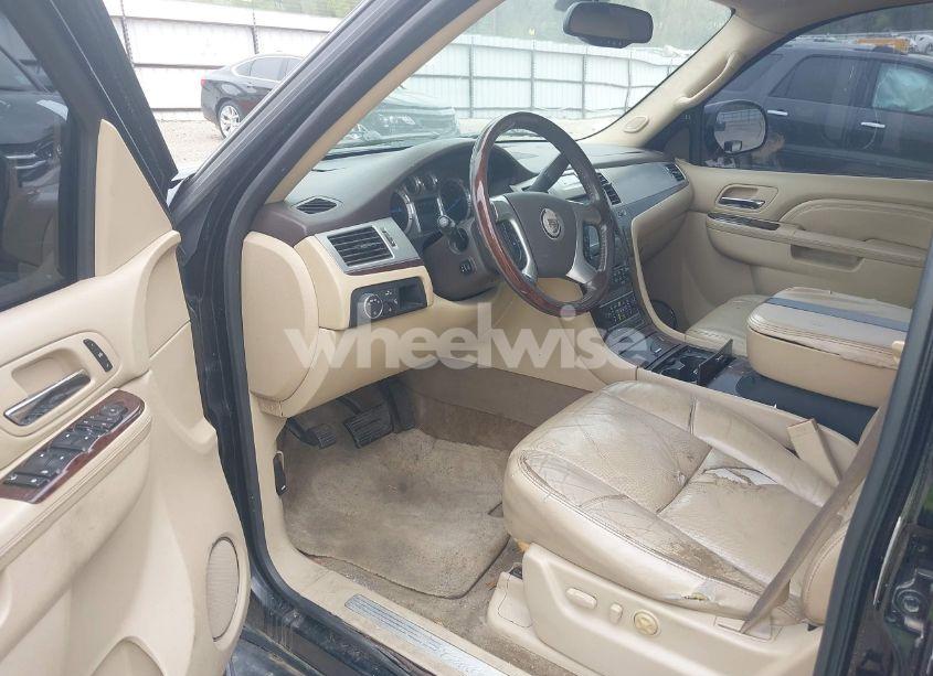 Photo 19 of 2010 Cadillac Escalade STANDARD (VIN 1GYUCAEF1AR264105)