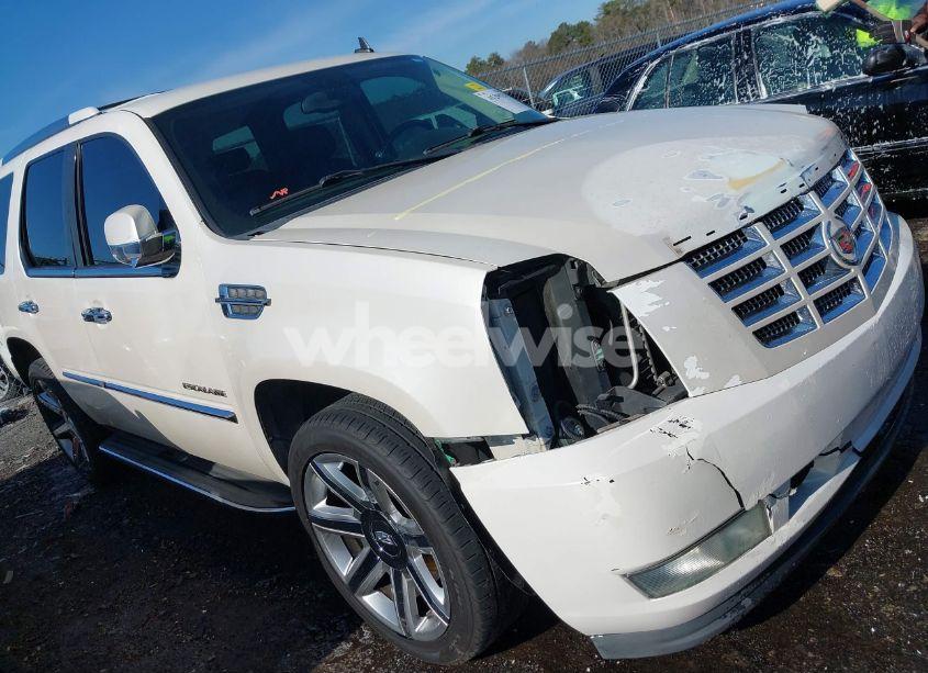 2010 Cadillac Escalade STANDARD (VIN 1GYUCAEF4AR226514) main photo