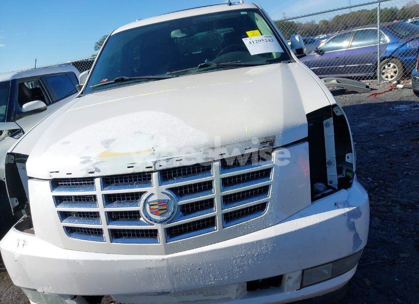 Photo 13 of 2010 Cadillac Escalade STANDARD (VIN 1GYUCAEF4AR226514)