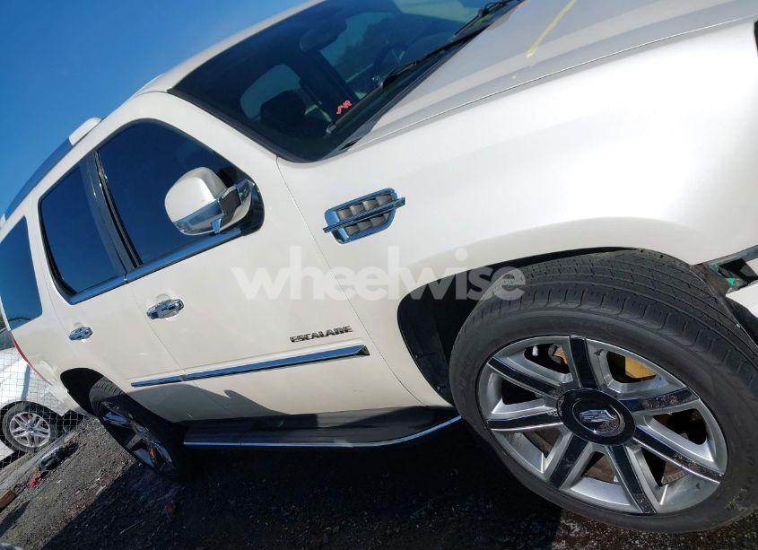 Photo 14 of 2010 Cadillac Escalade STANDARD (VIN 1GYUCAEF4AR226514)