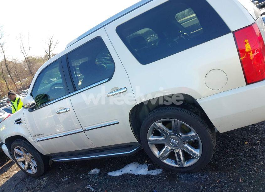 Photo 15 of 2010 Cadillac Escalade STANDARD (VIN 1GYUCAEF4AR226514)