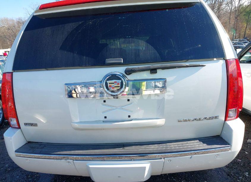 Photo 17 of 2010 Cadillac Escalade STANDARD (VIN 1GYUCAEF4AR226514)