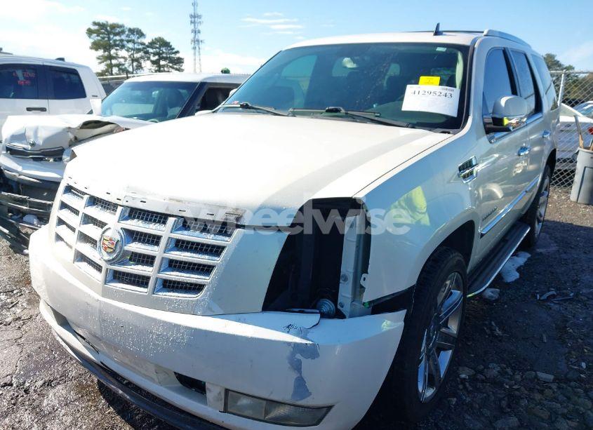 Photo 6 of 2010 Cadillac Escalade STANDARD (VIN 1GYUCAEF4AR226514)