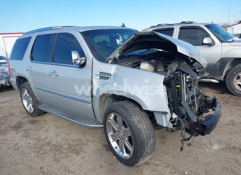 2010 Cadillac Escalade STANDARD (VIN 1GYUCAEF9AR180758) main photo