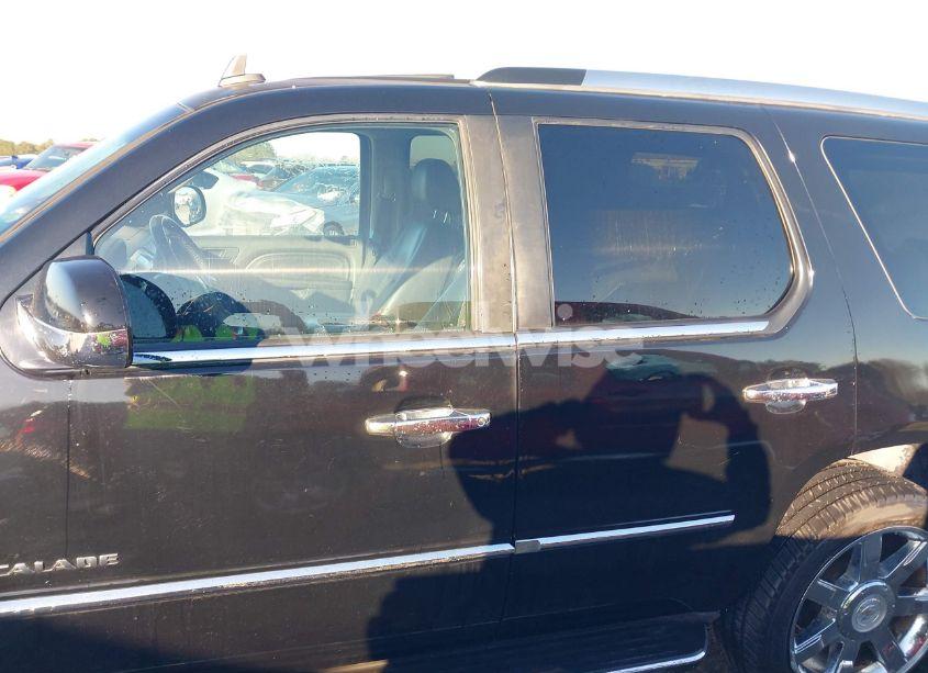 Photo 15 of 2010 Cadillac Escalade LUXURY (VIN 1GYUCBEF5AR270687)