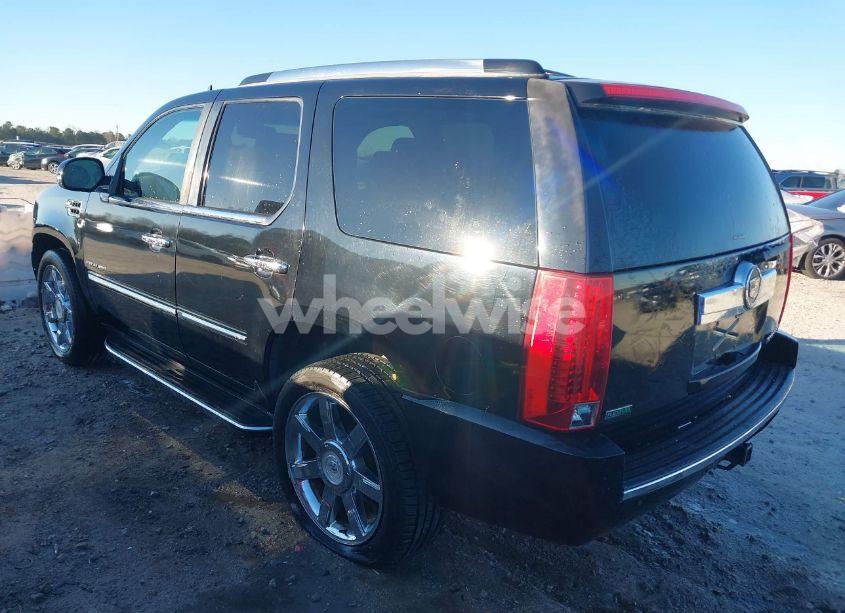 Photo 3 of 2010 Cadillac Escalade LUXURY (VIN 1GYUCBEF5AR270687)