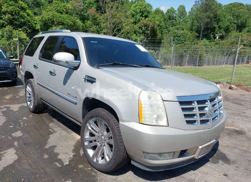 2010 Cadillac Escalade PREMIUM (VIN 1GYUCCEF0AR155906) main photo