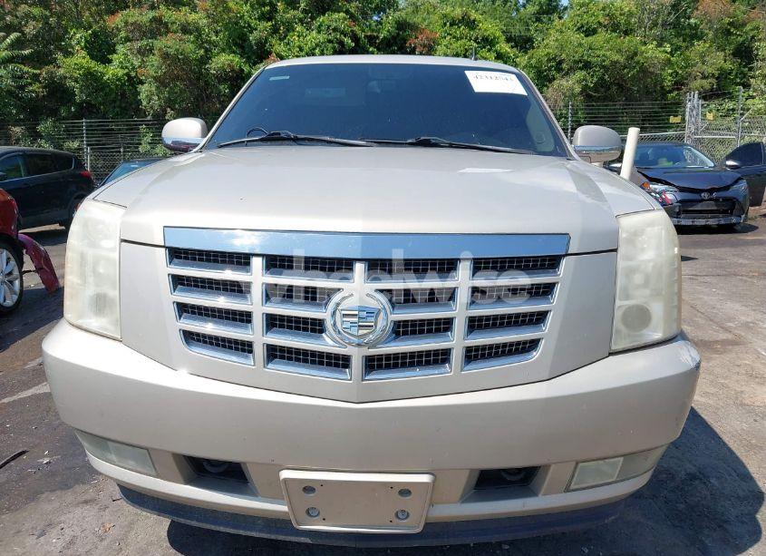 Photo 12 of 2010 Cadillac Escalade PREMIUM (VIN 1GYUCCEF0AR155906)