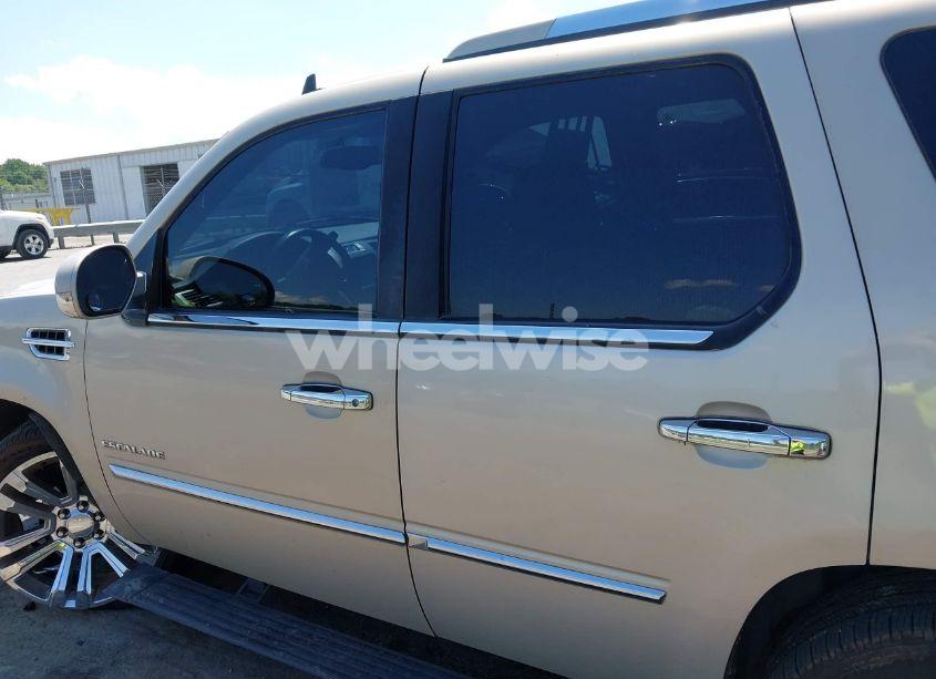 Photo 14 of 2010 Cadillac Escalade PREMIUM (VIN 1GYUCCEF0AR155906)