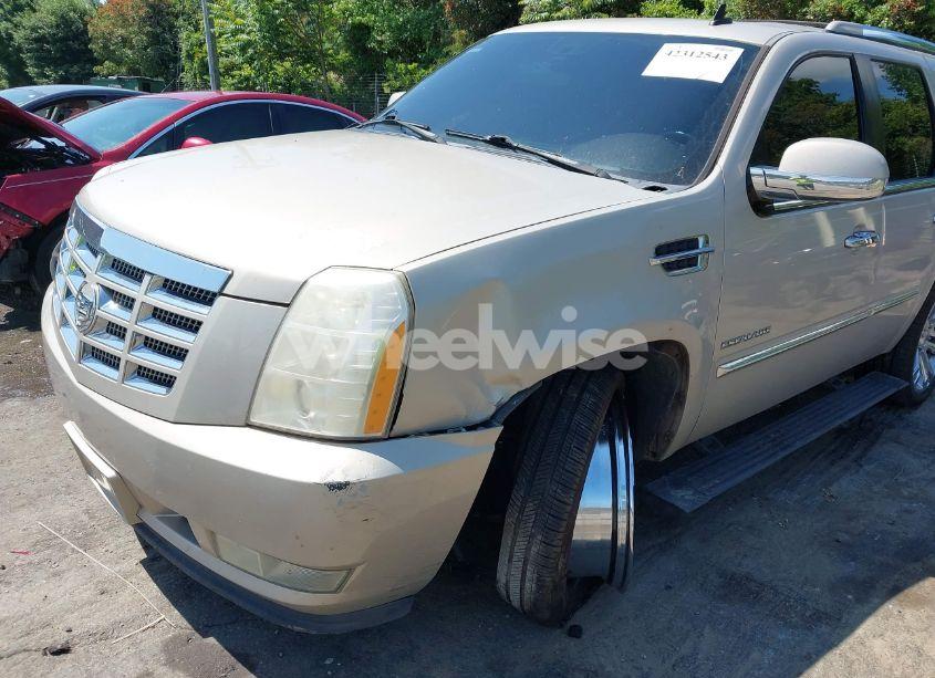 Photo 6 of 2010 Cadillac Escalade PREMIUM (VIN 1GYUCCEF0AR155906)