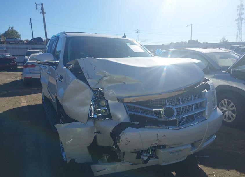 2010 Cadillac Escalade PLATINUM EDITION (VIN 1GYUCDEF0AR235812) main photo