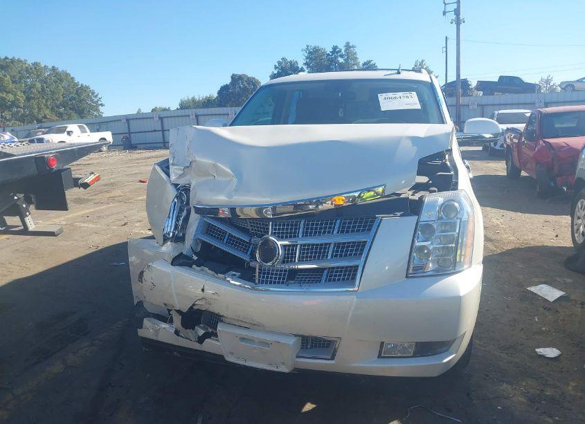 Photo 12 of 2010 Cadillac Escalade PLATINUM EDITION (VIN 1GYUCDEF0AR235812)