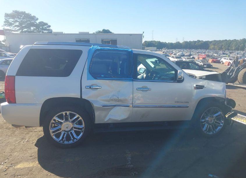 Photo 13 of 2010 Cadillac Escalade PLATINUM EDITION (VIN 1GYUCDEF0AR235812)