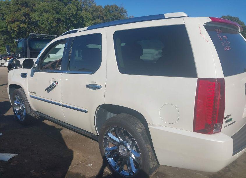 Photo 14 of 2010 Cadillac Escalade PLATINUM EDITION (VIN 1GYUCDEF0AR235812)