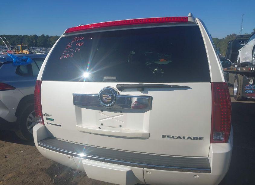 Photo 16 of 2010 Cadillac Escalade PLATINUM EDITION (VIN 1GYUCDEF0AR235812)
