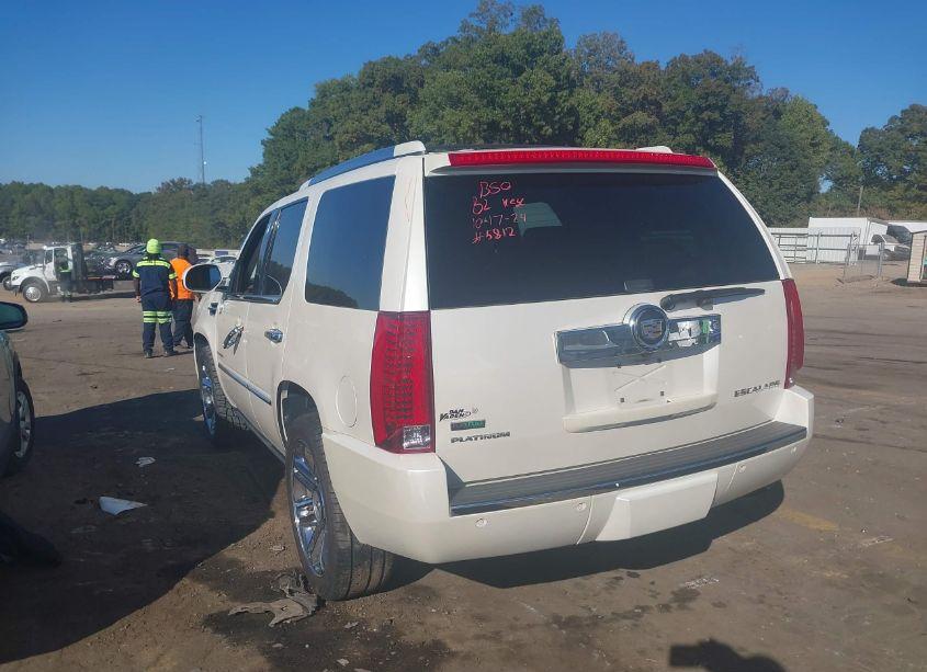 Photo 3 of 2010 Cadillac Escalade PLATINUM EDITION (VIN 1GYUCDEF0AR235812)