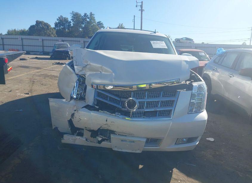 Photo 6 of 2010 Cadillac Escalade PLATINUM EDITION (VIN 1GYUCDEF0AR235812)
