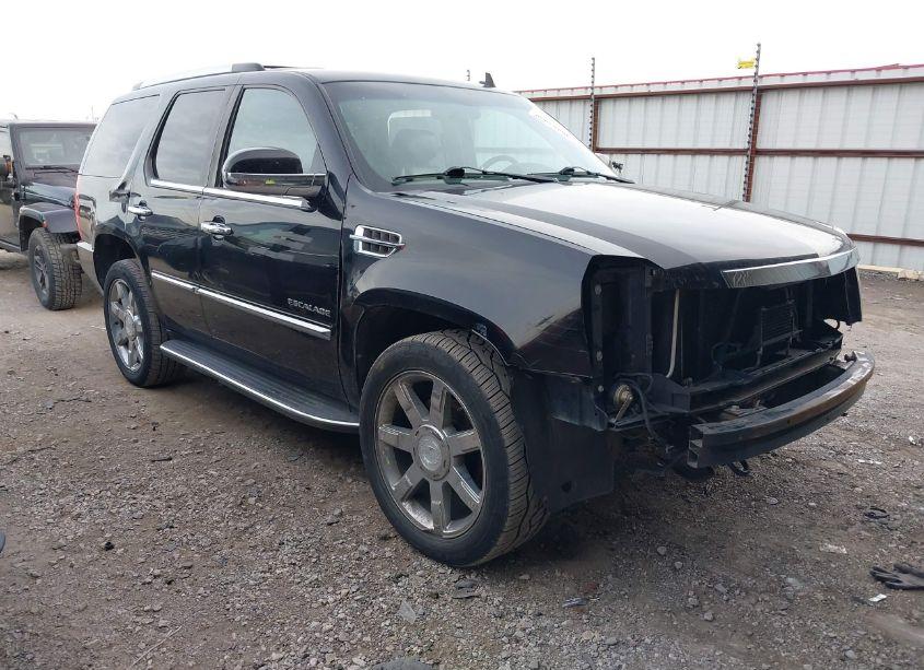 2010 Cadillac Escalade STANDARD (VIN 1GYUKAEF3AR214762) main photo