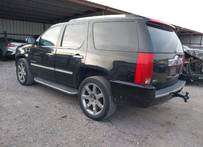 Photo 3 of 2010 Cadillac Escalade STANDARD (VIN 1GYUKAEF3AR214762)
