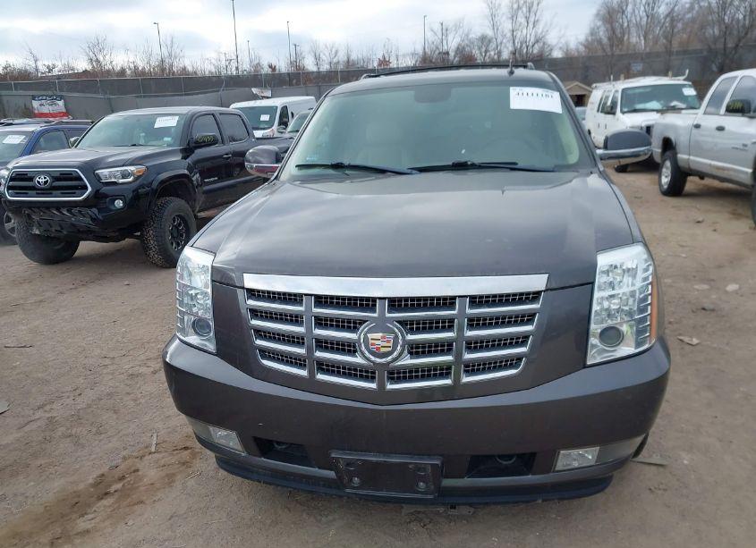 Photo 12 of 2010 Cadillac Escalade STANDARD (VIN 1GYUKAEF3AR254842)
