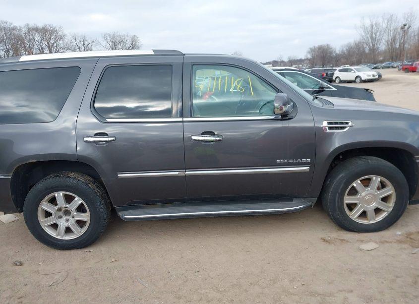 Photo 13 of 2010 Cadillac Escalade STANDARD (VIN 1GYUKAEF3AR254842)