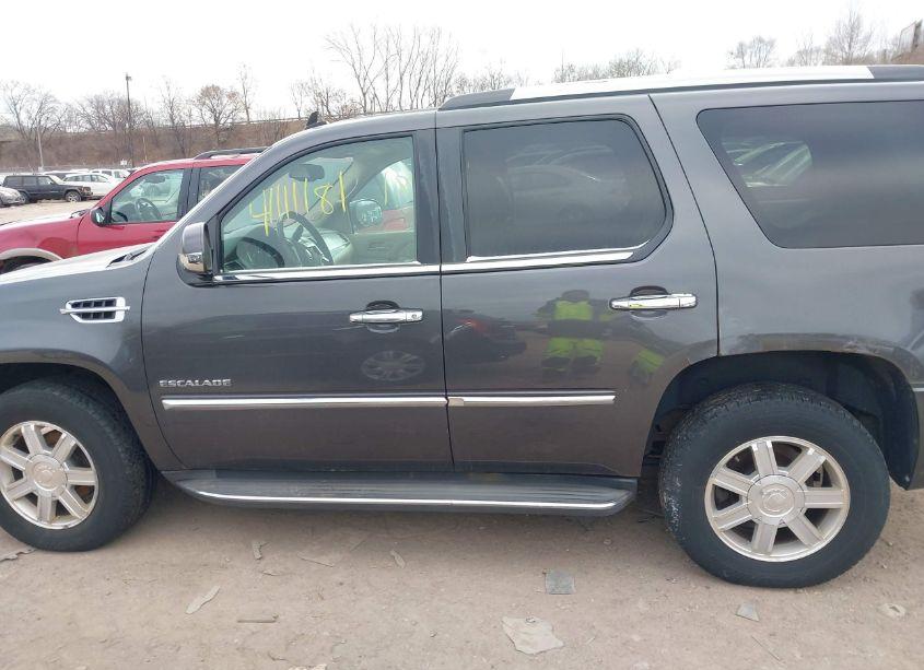 Photo 14 of 2010 Cadillac Escalade STANDARD (VIN 1GYUKAEF3AR254842)