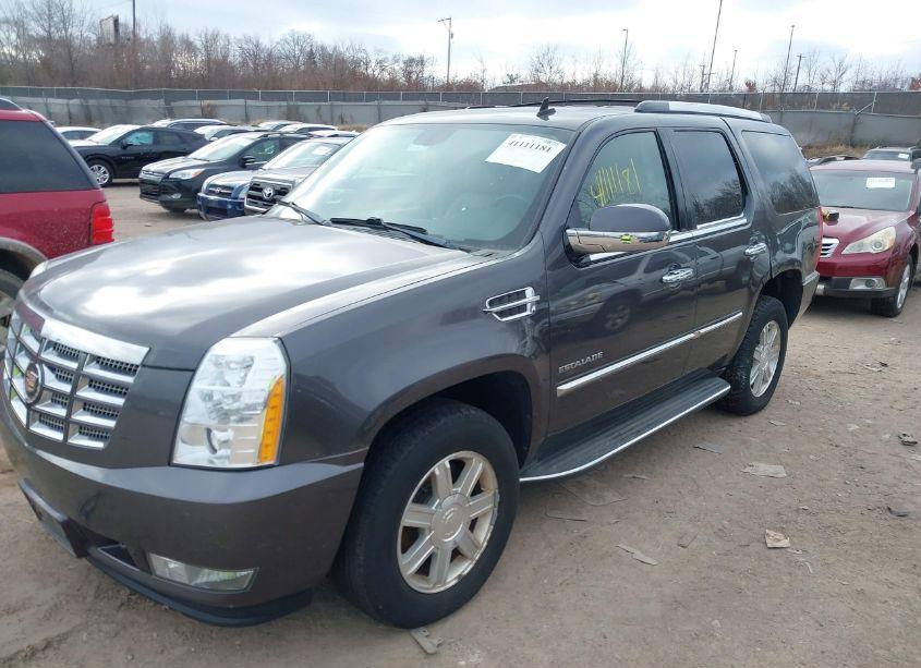 Photo 2 of 2010 Cadillac Escalade STANDARD (VIN 1GYUKAEF3AR254842)