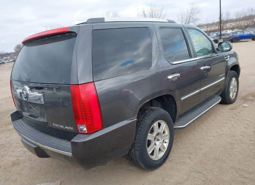 Photo 4 of 2010 Cadillac Escalade STANDARD (VIN 1GYUKAEF3AR254842)