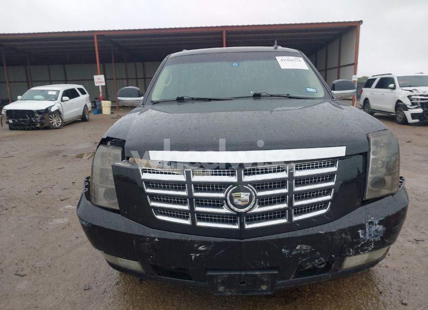 Photo 12 of 2010 Cadillac Escalade STANDARD (VIN 1GYUKAEF7AR114664)