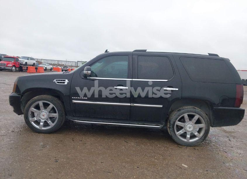 Photo 14 of 2010 Cadillac Escalade STANDARD (VIN 1GYUKAEF7AR114664)