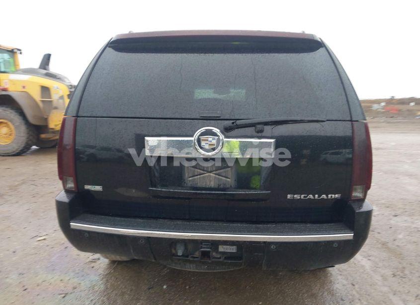 Photo 16 of 2010 Cadillac Escalade STANDARD (VIN 1GYUKAEF7AR114664)