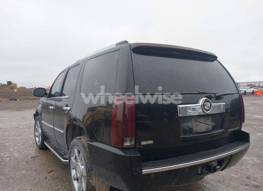 Photo 3 of 2010 Cadillac Escalade STANDARD (VIN 1GYUKAEF7AR114664)