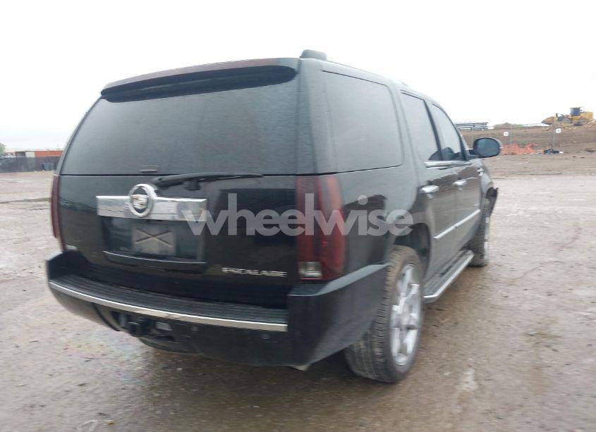 Photo 4 of 2010 Cadillac Escalade STANDARD (VIN 1GYUKAEF7AR114664)