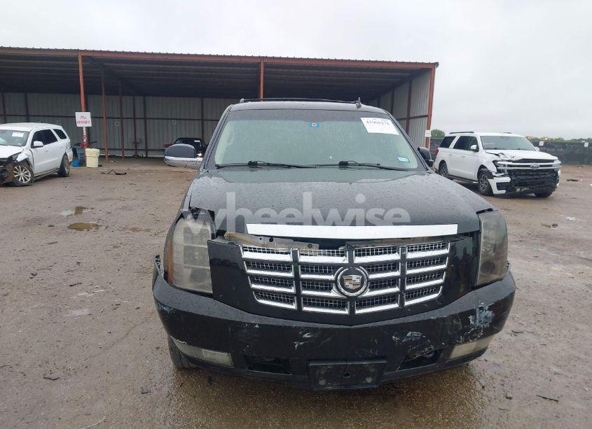 Photo 6 of 2010 Cadillac Escalade STANDARD (VIN 1GYUKAEF7AR114664)