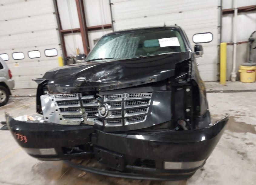 Photo 13 of 2010 Cadillac Escalade LUXURY (VIN 1GYUKBEF0AR201716)